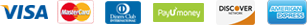 Footer Payments